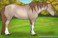 Horse Color:Liver Red Roan Pearl Tobiano Frame