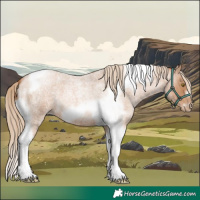 Horse Color:Red Roan Pearl Tobiano Frame 