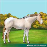 Horse Color:Red Roan Pearl Tobiano Frame 
