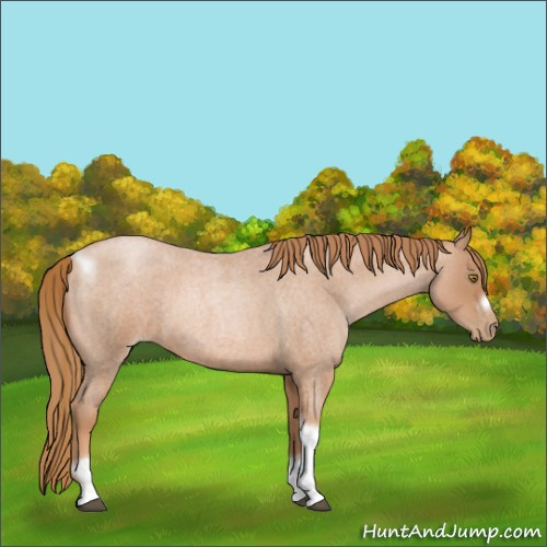 Horse Color:Red Roan Pearl Tobiano Frame