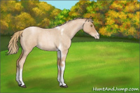 Horse Color:Red Roan Pearl Tobiano Frame