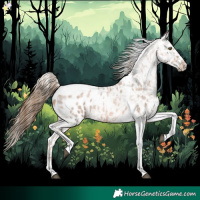 Horse Color:Liver Red Roan Pearl Tobiano Frame Appaloosa 