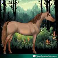 Horse Color:Red Dun 