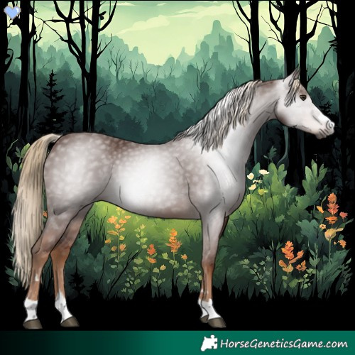 Horse Color:Gray Chestnut 