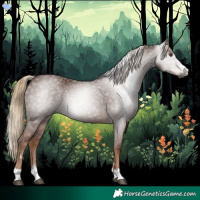 Horse Color:Gray Chestnut 