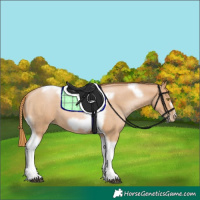 Horse Color:Red Roan Pearl Tobiano Frame