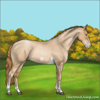 Horse Color:Red Roan Pearl Tobiano Frame 