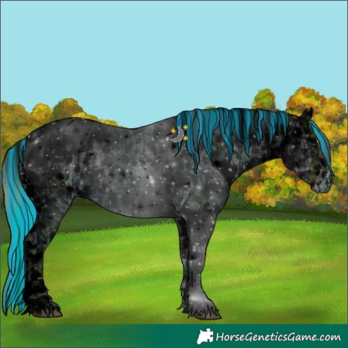Horse Color:Void Painted Plaid  Blue Onyx Ice Roan Tobiano Blanket 