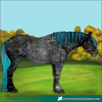 Horse Color:Void Painted Plaid  Blue Onyx Ice Roan Tobiano Appaloosa 