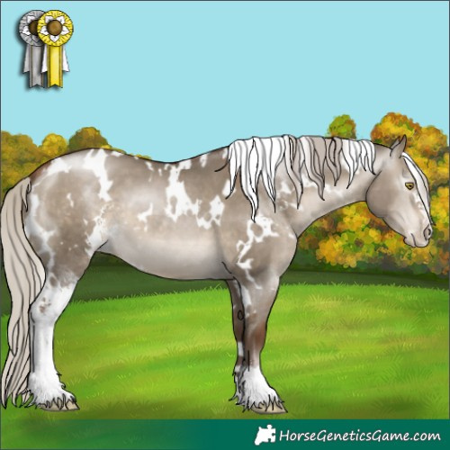 Horse Color:Gray White Spotted Silver Brown Pearl Dun Sabino 