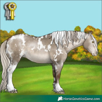 Horse Color:Gray White Spotted Silver Brown Pearl Dun Sabino 
