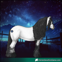 Horse Color:Black Near Fewspot 