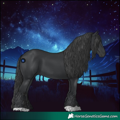 Horse Color:Black 
