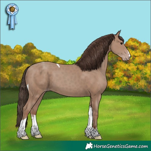 Horse Color:Classic Champagne Tobiano 