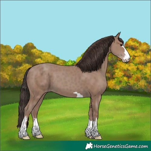 Horse Color:Classic Champagne 