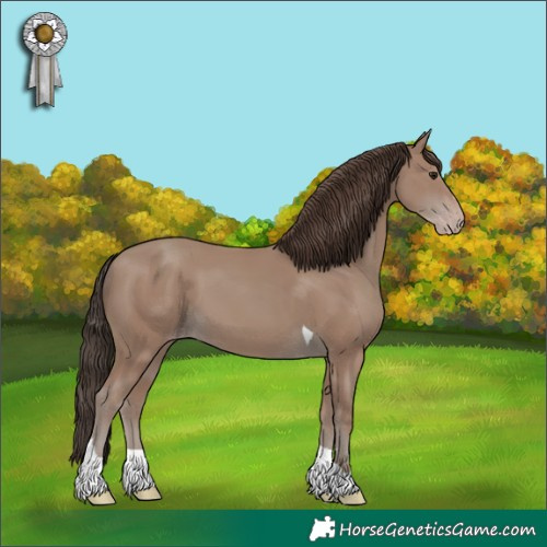 Horse Color:Classic Champagne Tobiano 