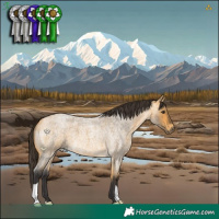 Horse Color:Buckskin Roan 