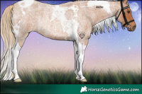 Horse Color:Red Roan Tobiano Rabicano