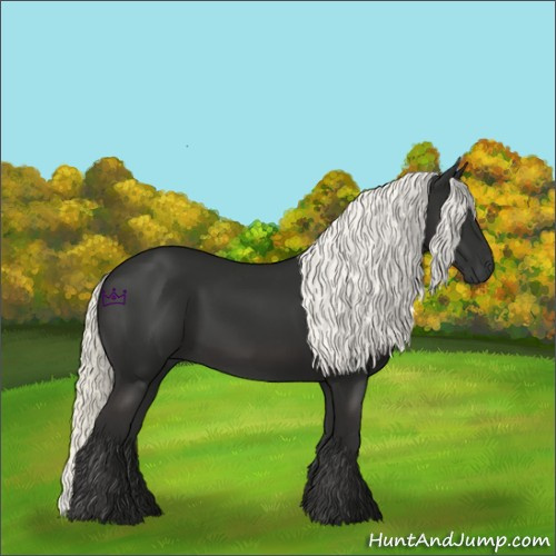 Horse Color:Liver Chestnut Mushroom 