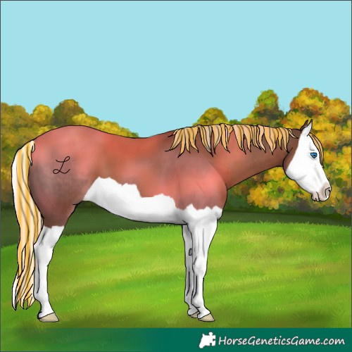 Horse Color:Painted Silver Black Splash 