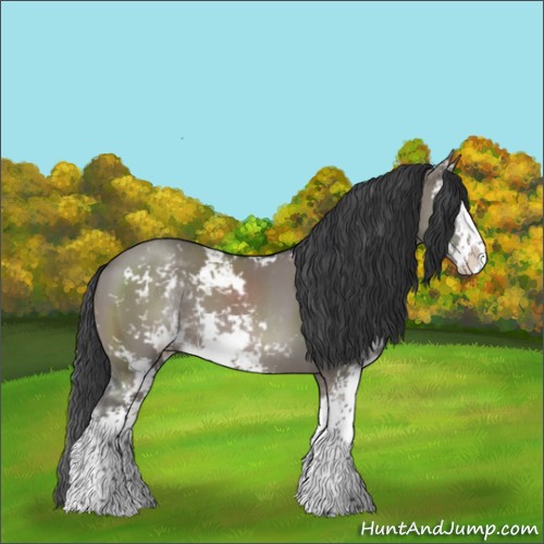 Horse Color:Grullo Sabino 