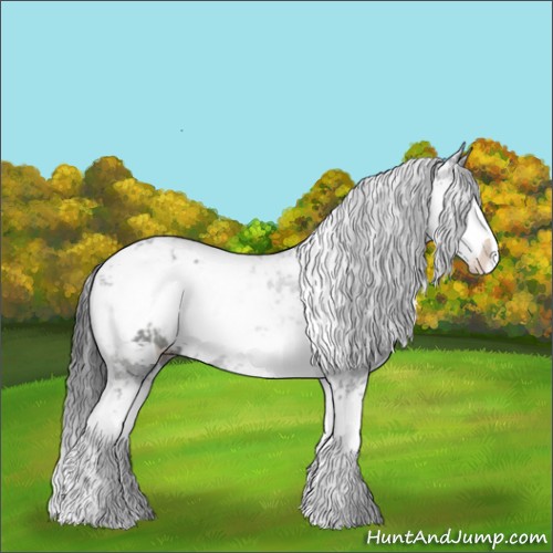 Horse Color:Black Sabino 