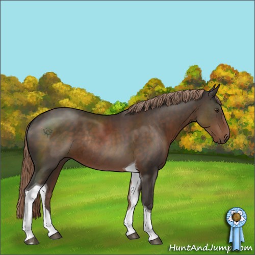 Horse Color:Liver Chestnut Tobiano Rabicano 