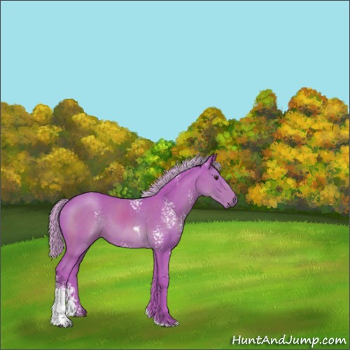 Horse Color:Watercolor White Spotted Liver Chestnut Tobiano 