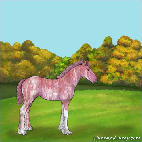 Horse Color:Watercolor Liver Chestnut Ice Tobiano Rabicano 