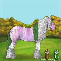 Horse Color:Watercolor Bay Ice Tobiano Appaloosa Rabicano 