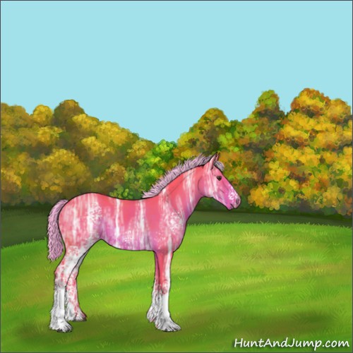 Horse Color:Watercolor White Spotted Liver Chestnut Ice Sabino Rabicano 