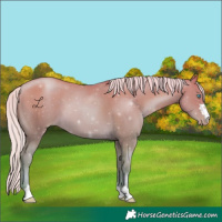 Horse Color:Watercolor Silver Smoky Black Pearl 
