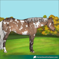 Horse Color:White Spotted Silver Brown Dun 
