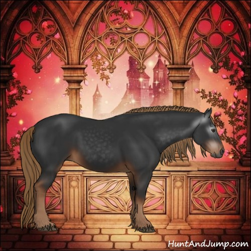 Horse Color:Gray Liver Chestnut Rabicano 