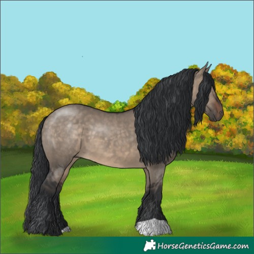 Horse Color:Brown Dun 