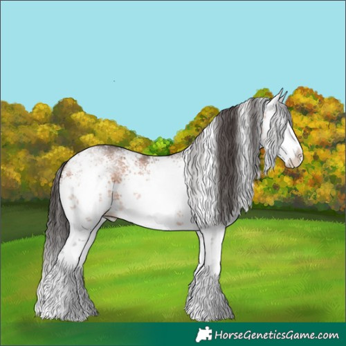 Horse Color:White Spotted Bay Sabino Splash 