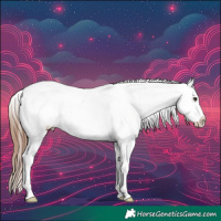 Horse Color:Red Roan Appaloosa Rabicano 