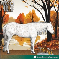 Horse Color:Liver Red Roan Snowflake Varnish 