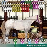 Horse Color:Buckskin Roan Appaloosa 