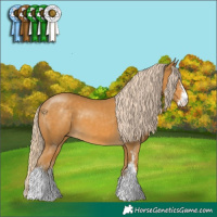 Horse Color:Palomino Sabino