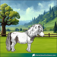 Horse Color:Liver Red Roan Splash Tobiano 