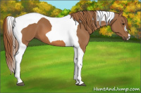 Horse Color:Chestnut Tobiano 