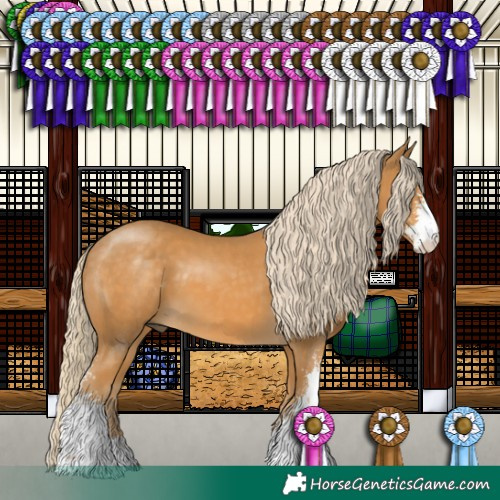 Horse Color:Palomino Sabino