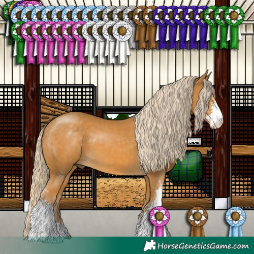 Horse Color:Palomino Sabino