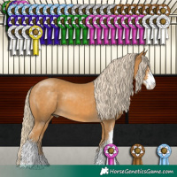 Horse Color:Palomino Sabino 