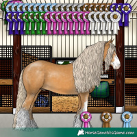 Horse Color:Palomino Sabino