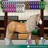 Horse Color:Palomino Sabino