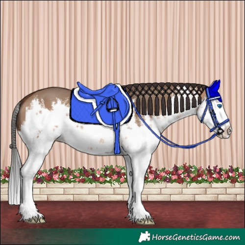 Horse Color:White Spotted Brown Dun Splash