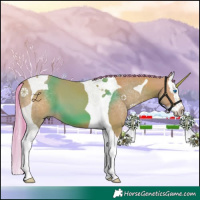 Horse Color:Watercolor Bay Splash Tobiano 