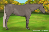 Horse Color:Silver Black 